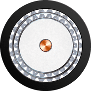 ControlNet.png